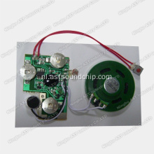 Opneembare module lichtsensor, opname geluidschip